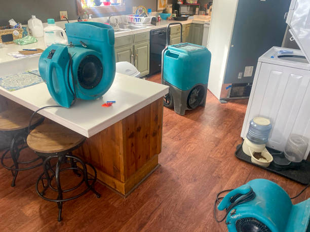 Best 24/7 water damage repair  in Blackfoot, ID