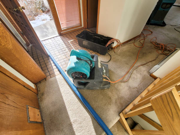 Best Local water damage restoration  in Blackfoot, ID