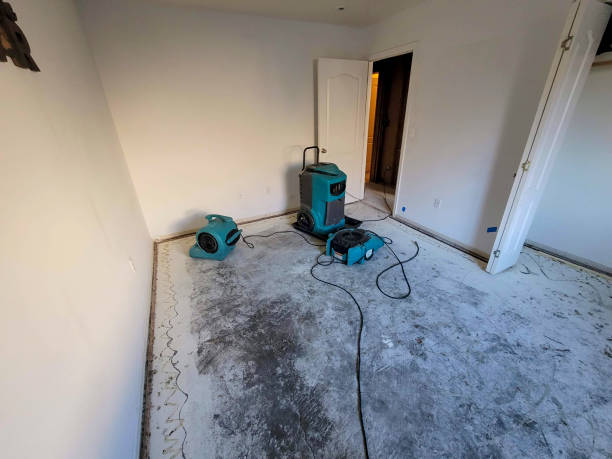 Best Residential water damage restoration  in Blackfoot, ID