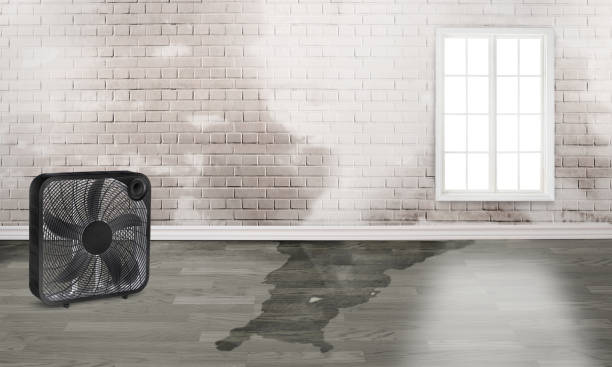 Best Emergency water damage restoration  in Blackfoot, ID