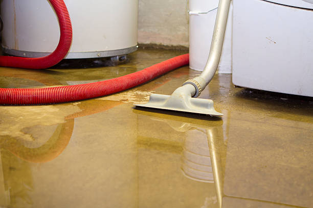 Water damage restoration insurance claims in Blackfoot, ID